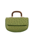 Front of a green ostrich handbag with a wooden handle on a white background