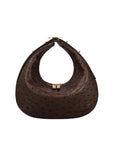 Front of a nicotene ostrich handbag on a white background