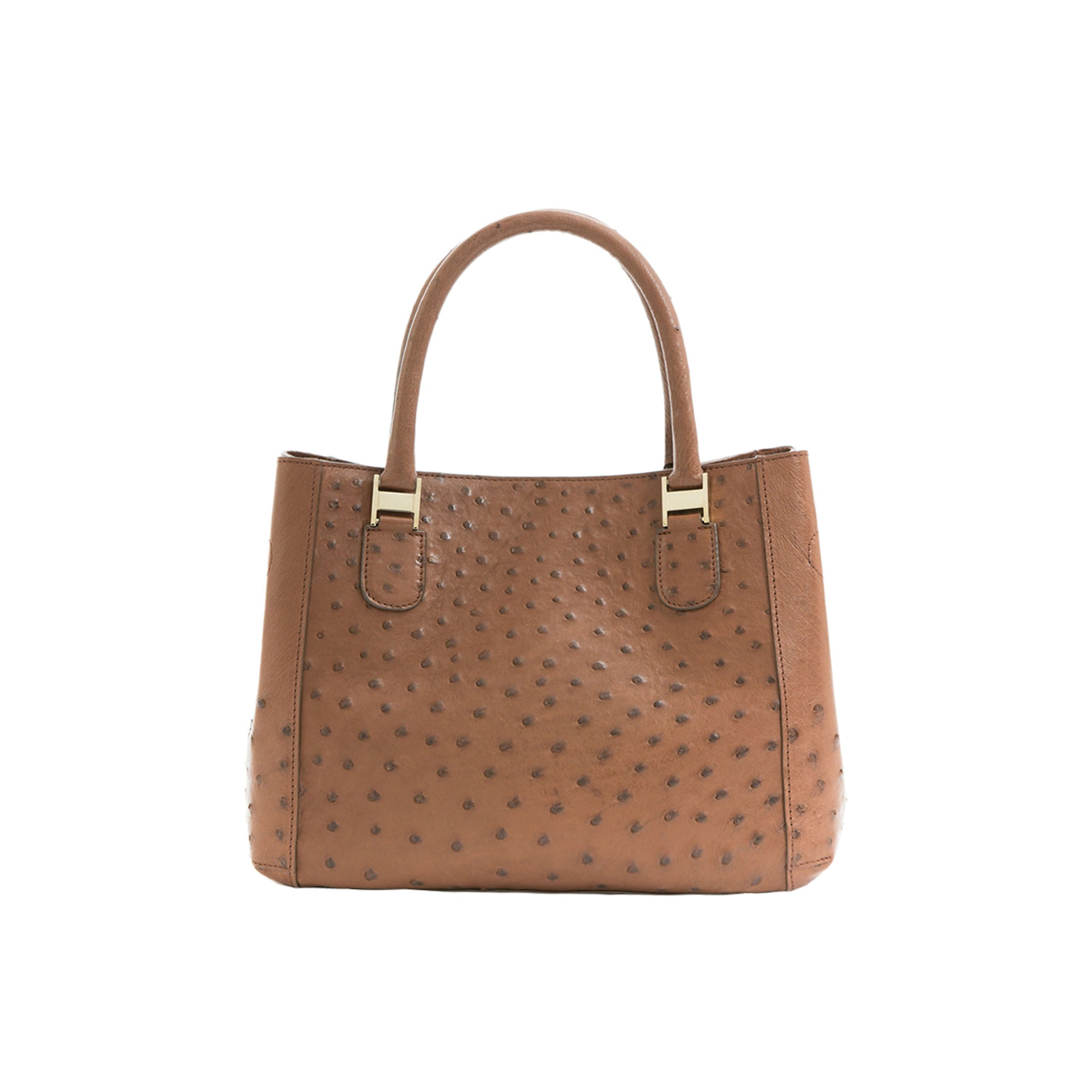 Brown textured handbag with gold accents on a white background