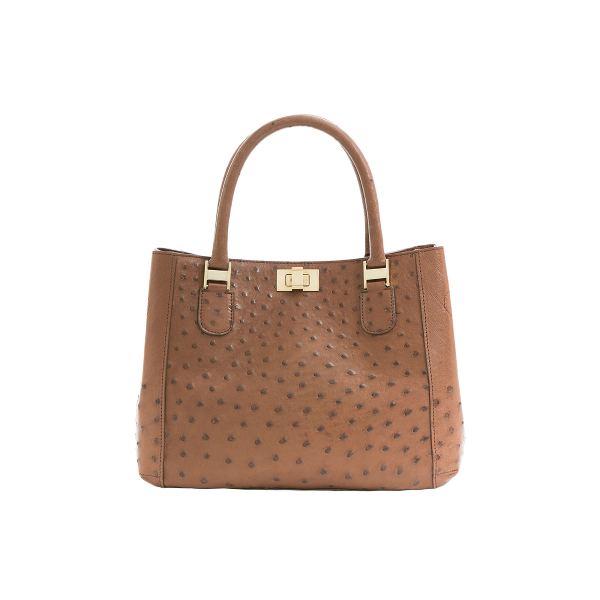 Brown textured handbag with gold accents on a white background