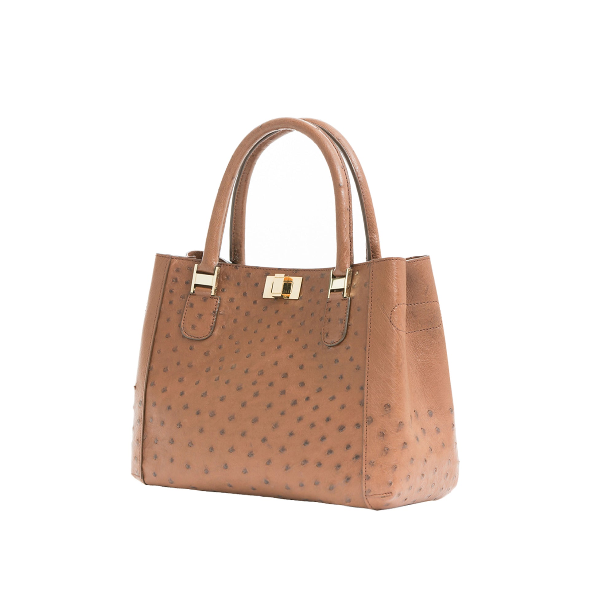 Brown handbag with gold accents on a white background