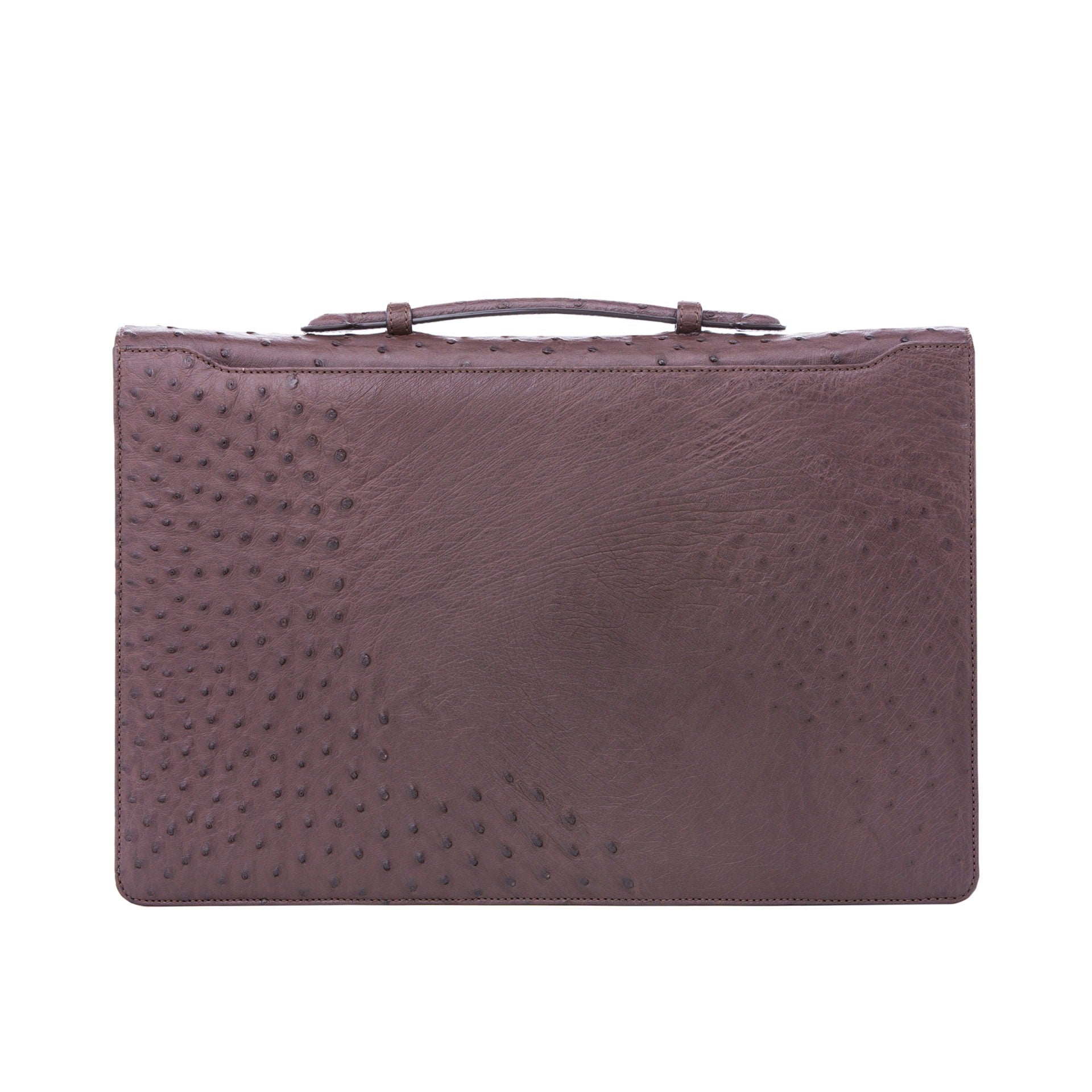 Back view of ostrich textured briefcase with a silver clasp on a white background