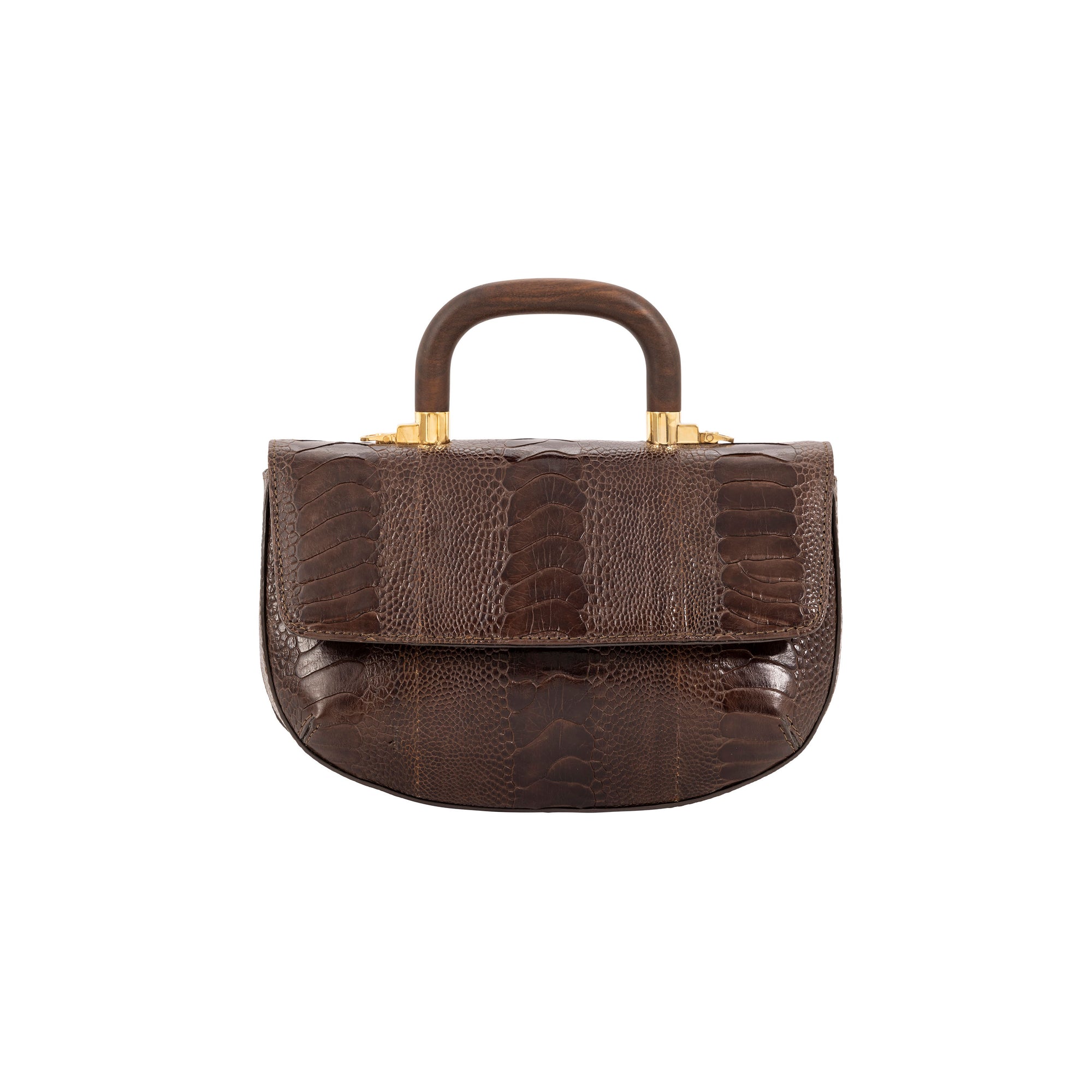 Front of a brown textured handbag with gold accents and a wooden handle on a white background