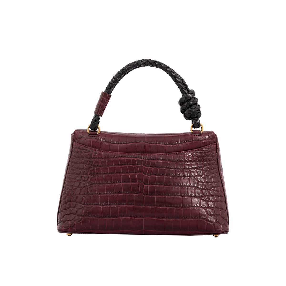 Esme in Godiva Crocodile