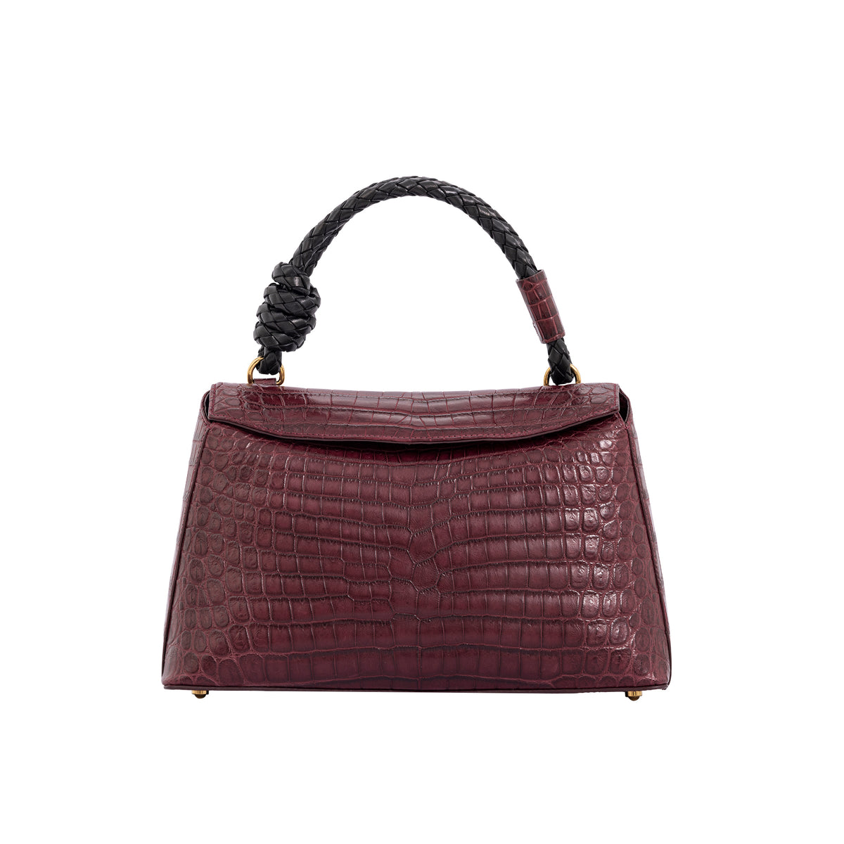 Esme in Godiva Crocodile