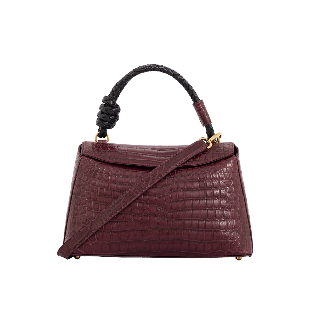 Esme in Godiva Crocodile