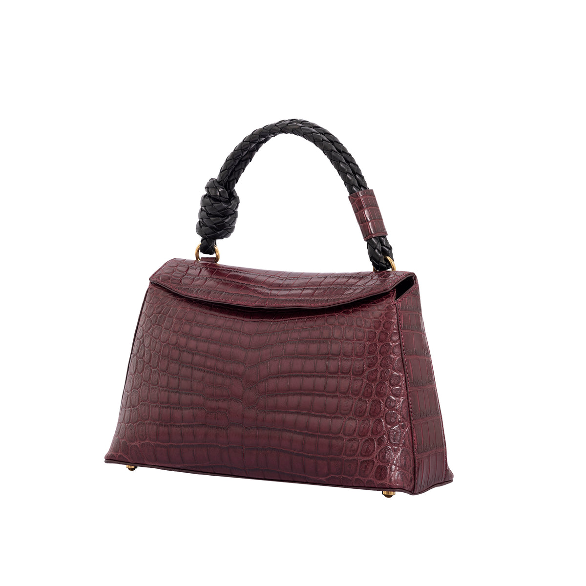 Esme in Godiva Crocodile