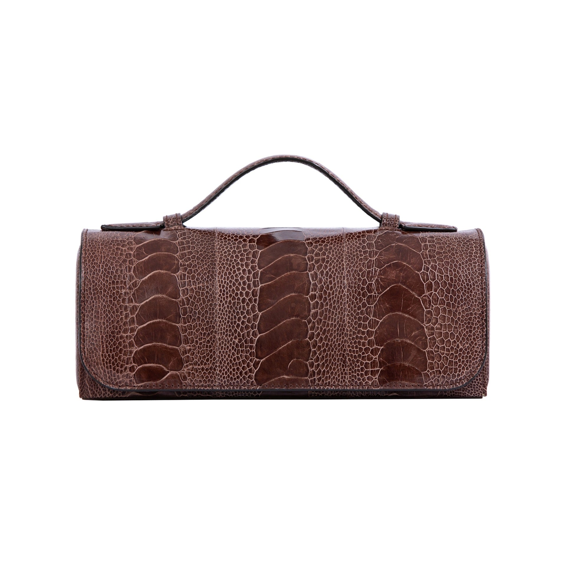 Dark brown ostrich textured watch box with a gold clasp on a white background 