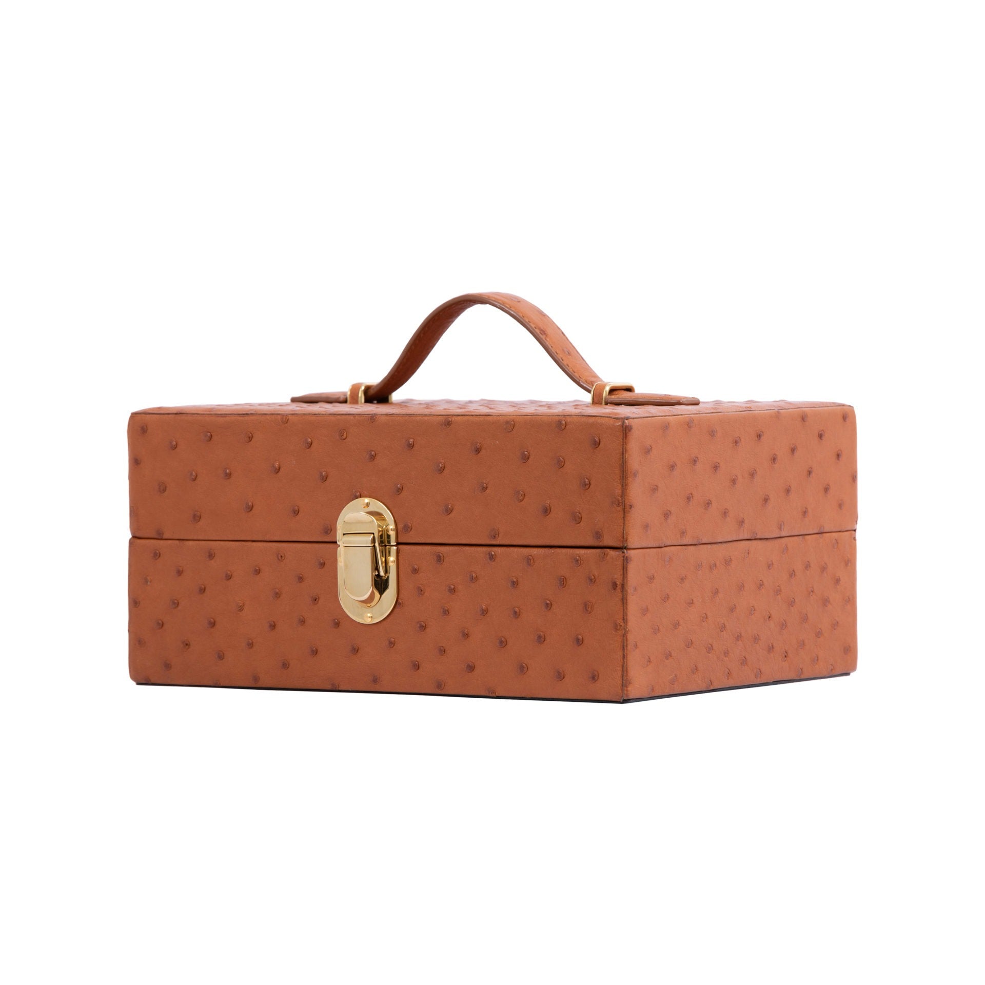 Brown ostrich textured jewelry box with a gold clasp on a white background