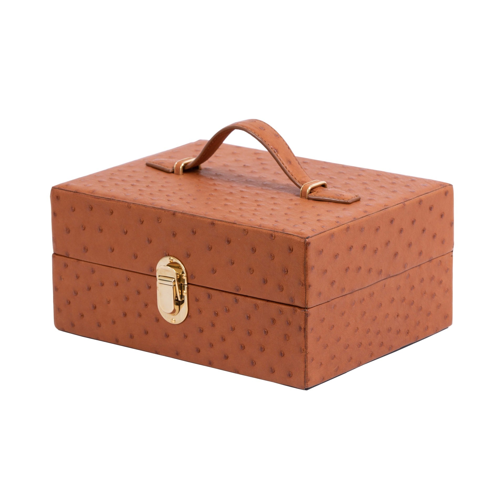 Brown ostrich textured jewelry box with a gold clasp on a white background