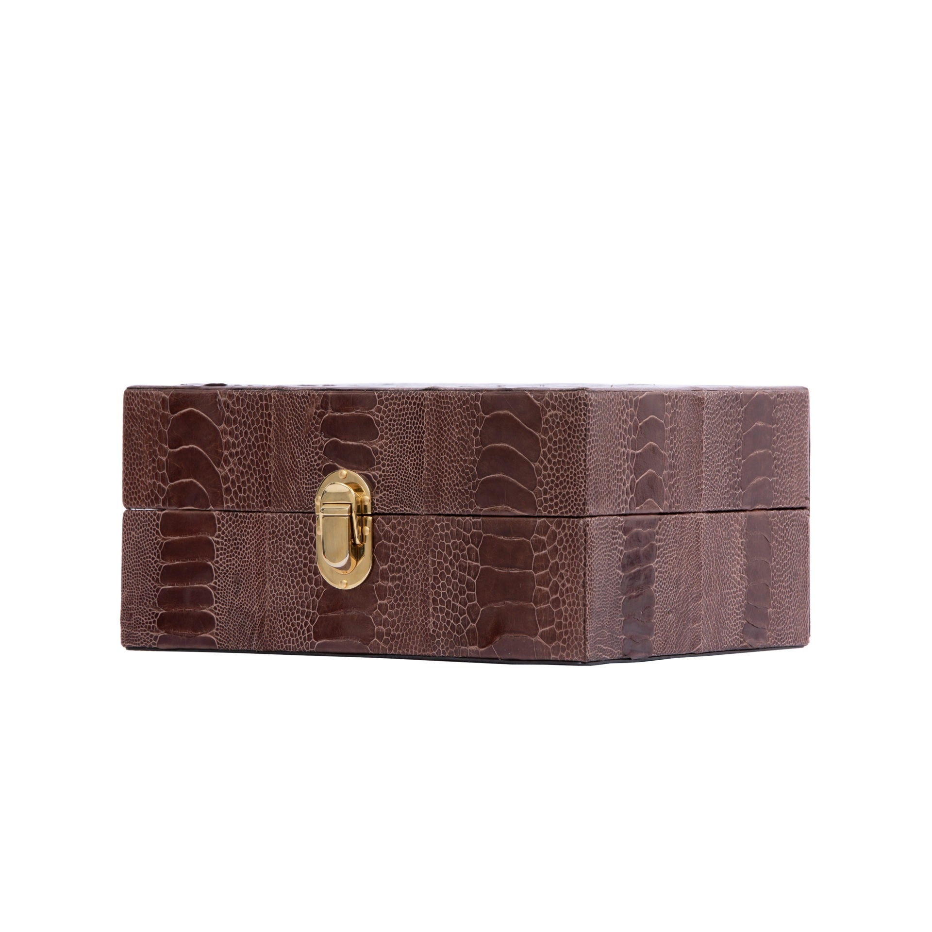 Dark brown ostrich textured watch box with a gold clasp on a white background 