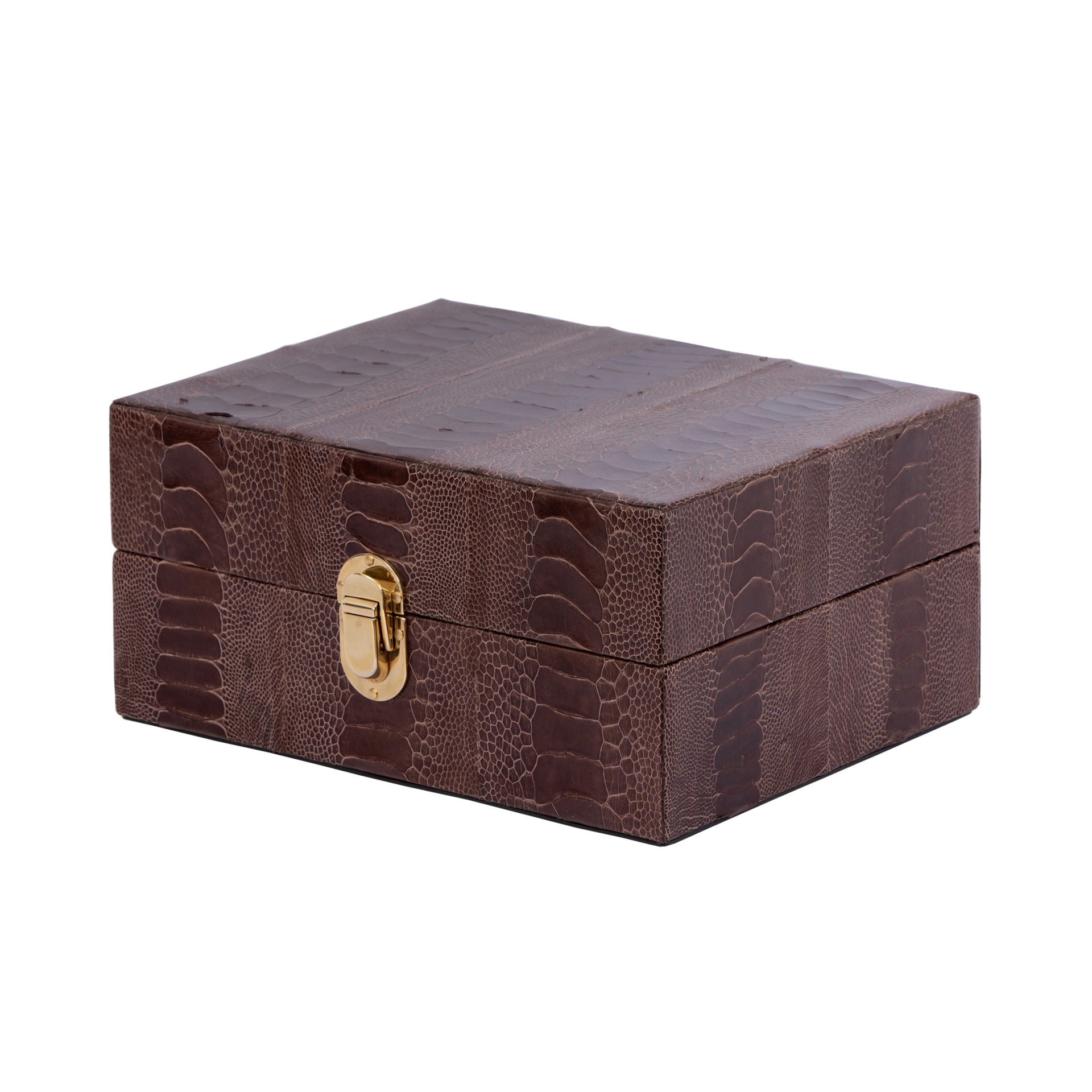 Dark brown ostrich textured watch box with a gold clasp on a white background 
