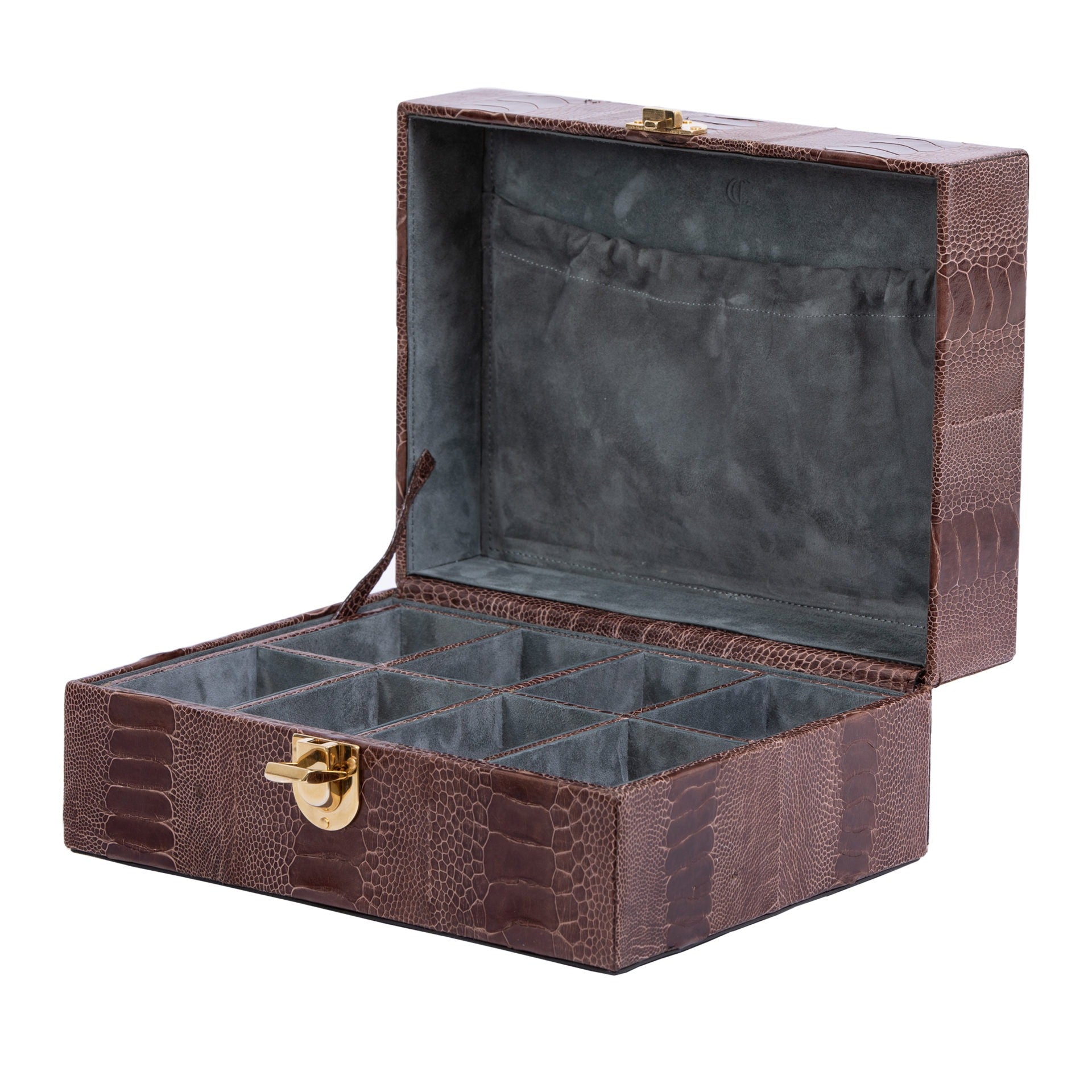 Dark brown ostrich textured watch box with a gold clasp on a white background 