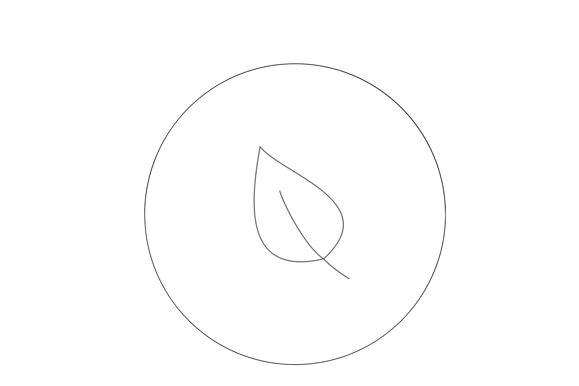 Leaf drawing inside of a circle on a white background