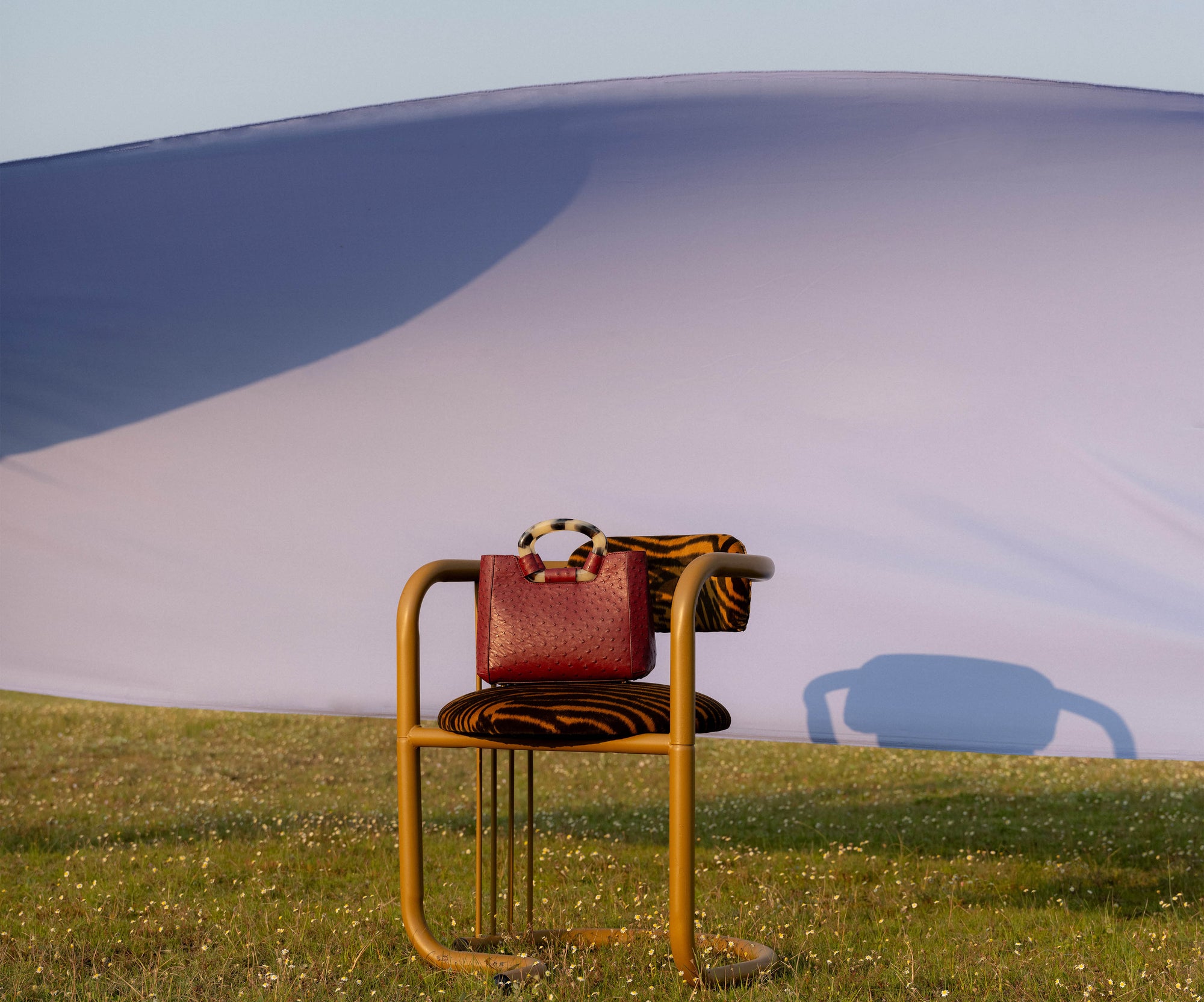 Chair with a maroon ostrich-textured handbag on a grassy field with a large sand dune in the background