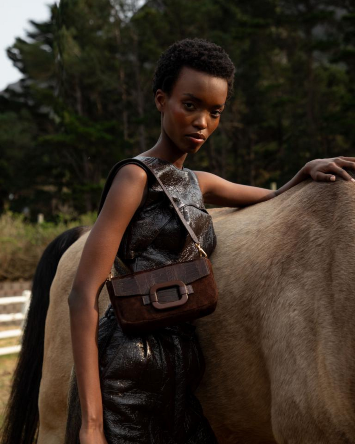 Woman with a leather bag standing next to a horse outdoors