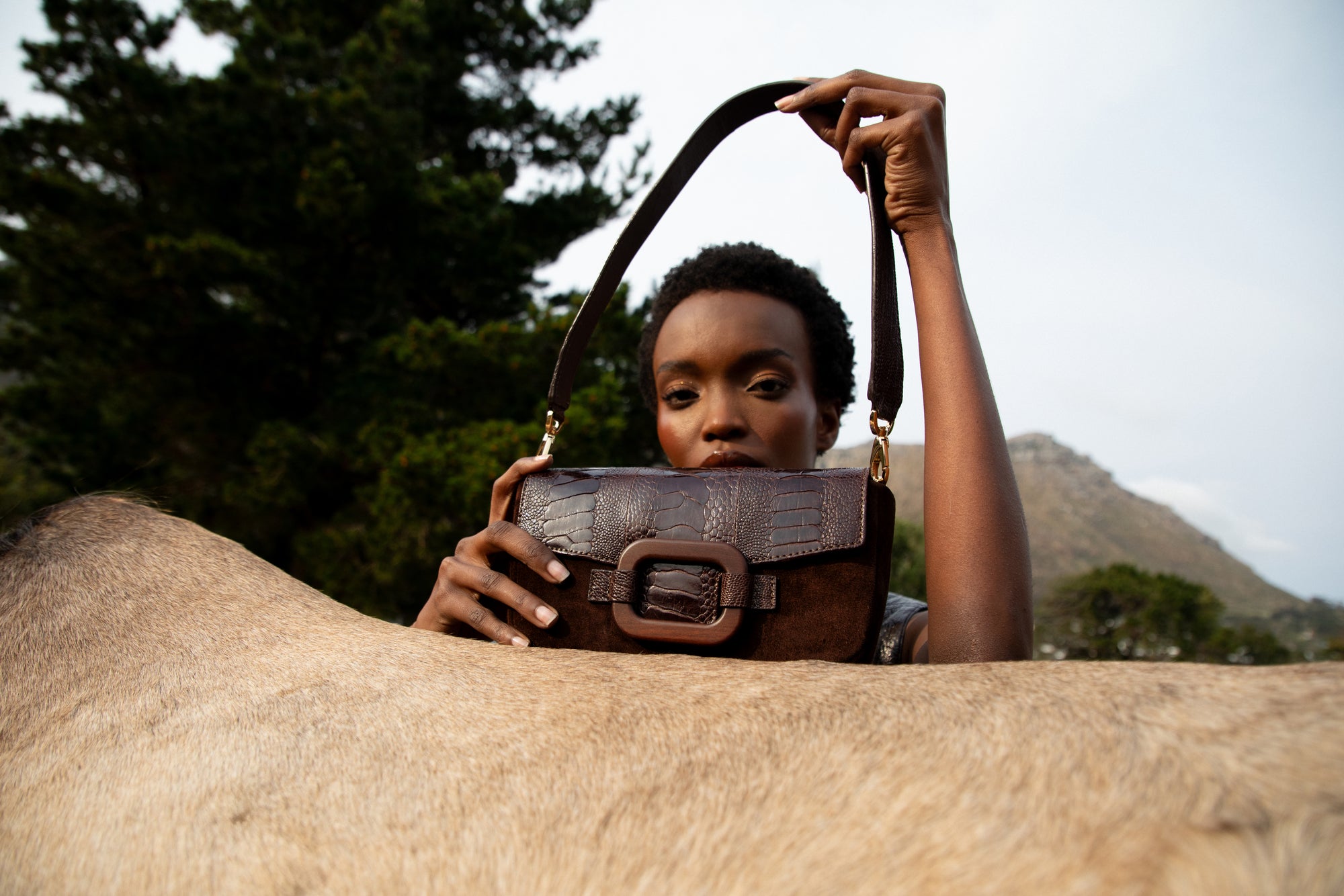 Person holding a brown leather handbag with a mountainous background