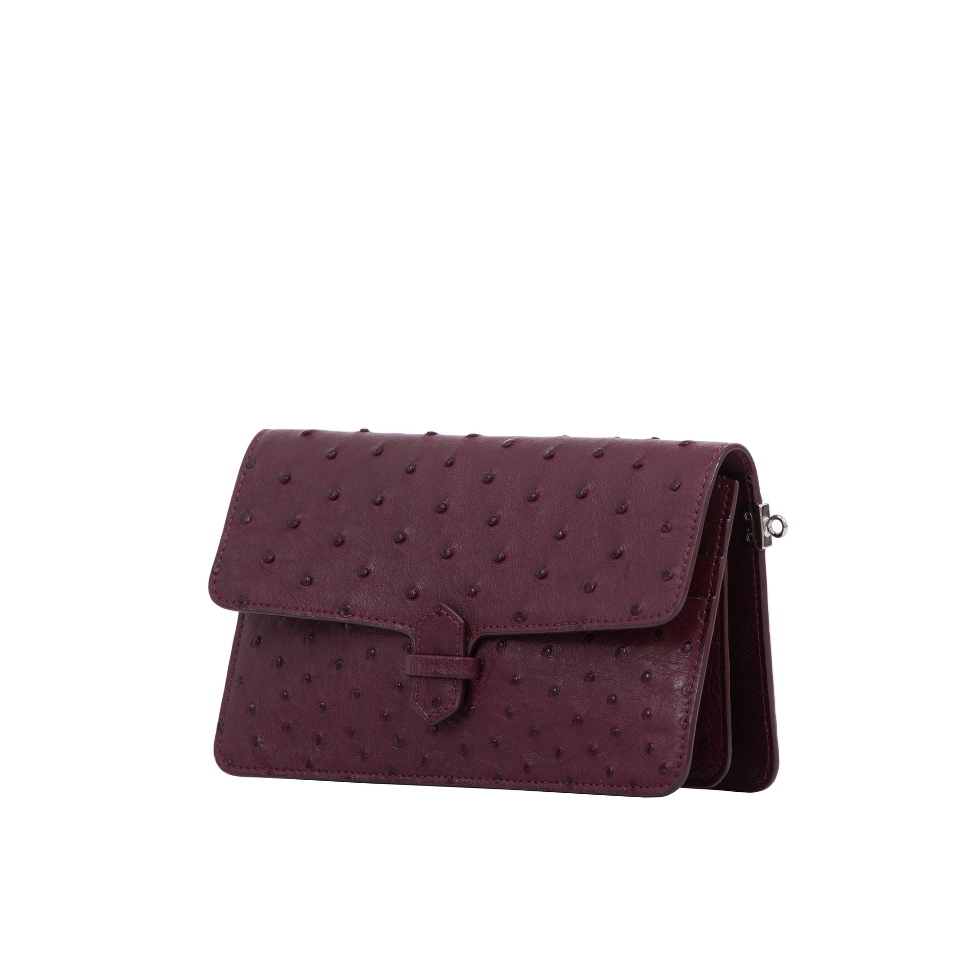 Accordion Crossbody Wallet