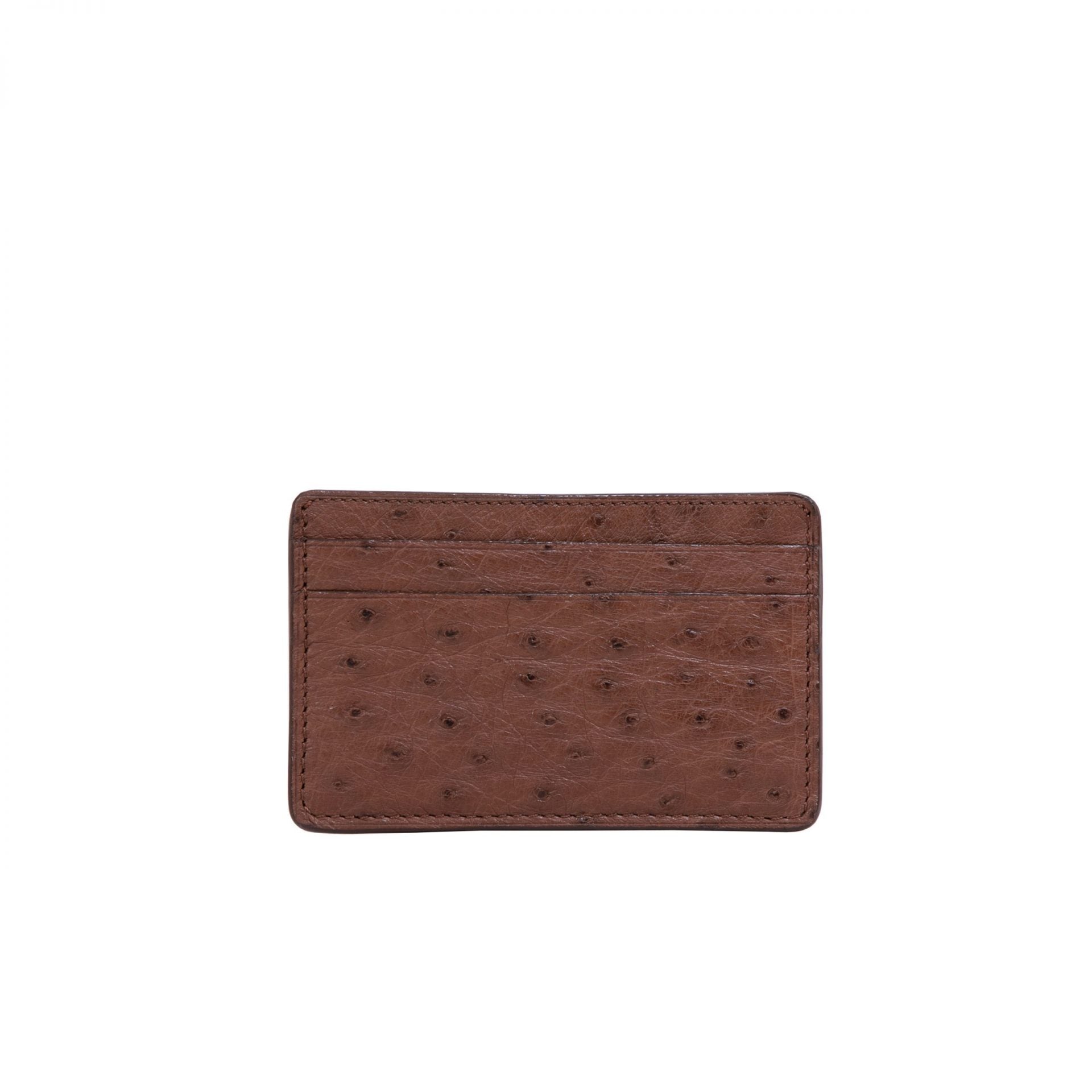Front of a kango ostrich leg textured cardholder on a white background
