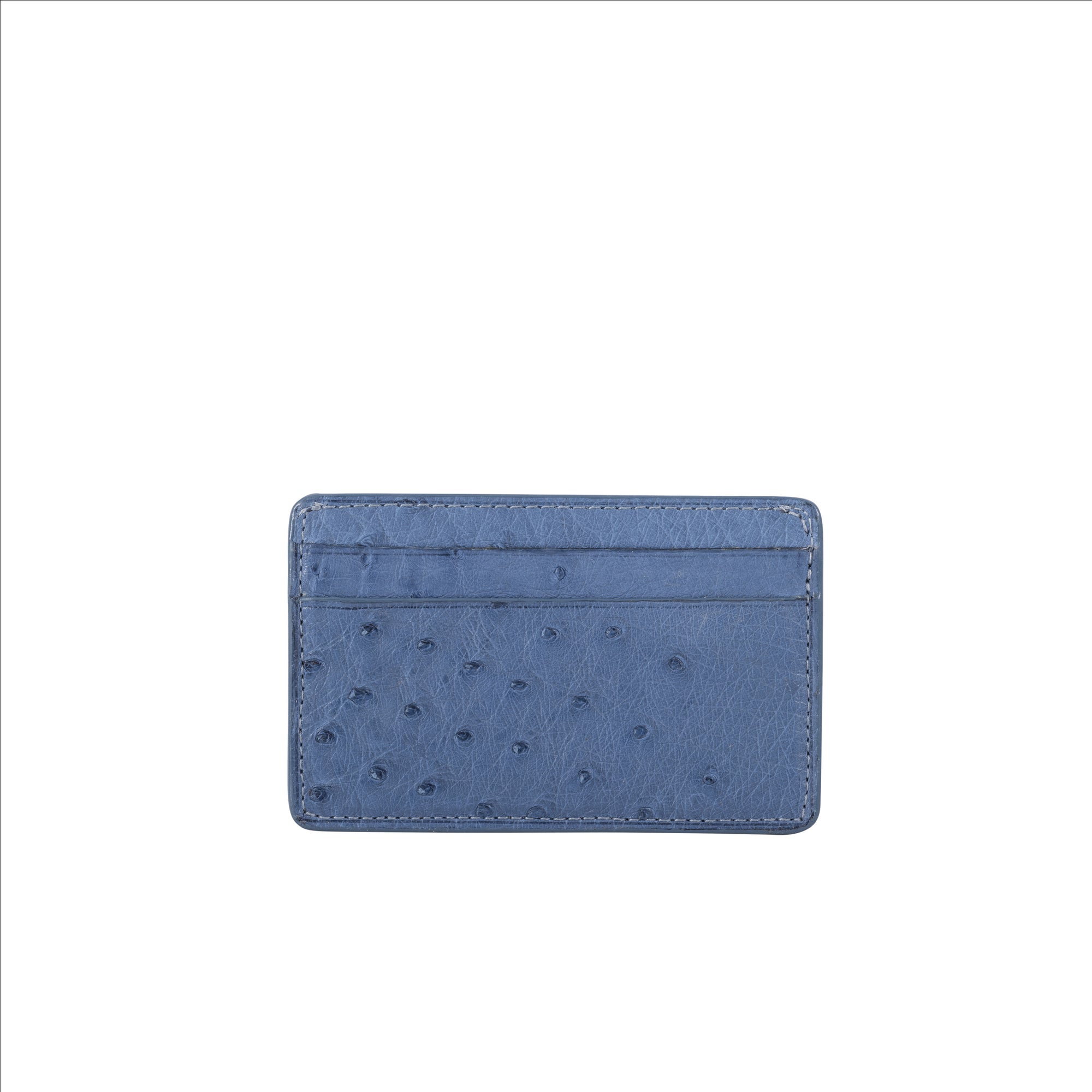 Blue textured cardholder on a white background