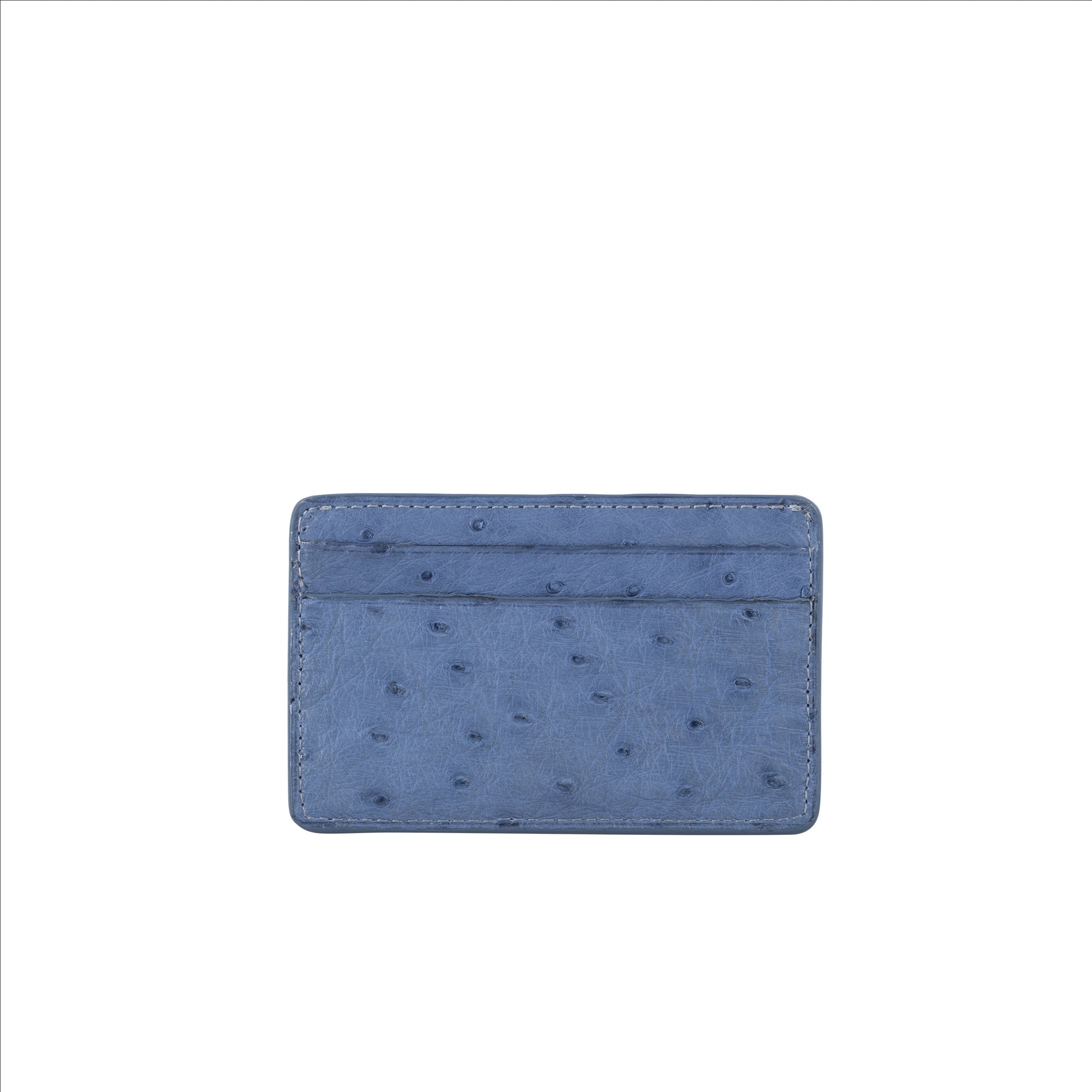Blue textured cardholder on a white background