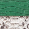 Combination Soft gloss Green Crocodile & Natural shiny Python
