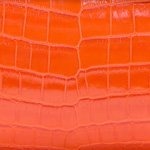 Crocodile Shiny Tangerine