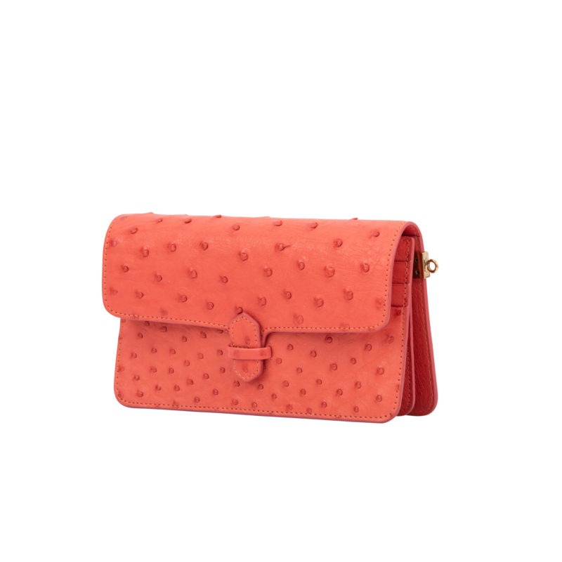 Accordion Crossbody Wallet in Chilli Red Ostrich 2